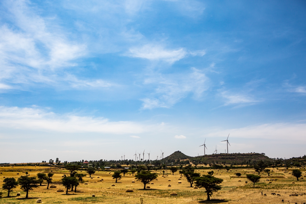 Photo of a field in Ethiopia. By: Elisabeth Gawthrop/IRI